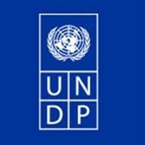 UNDP lanson virtualisht edicionin e 20-të të Pulsit Publik