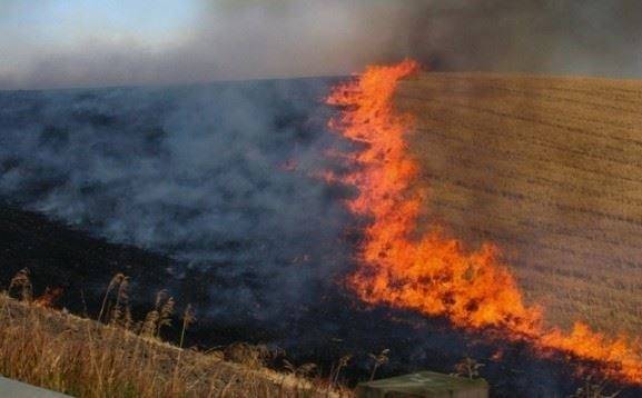 Arrestohet një person për ‘zjarrvënie’ në Suharekë