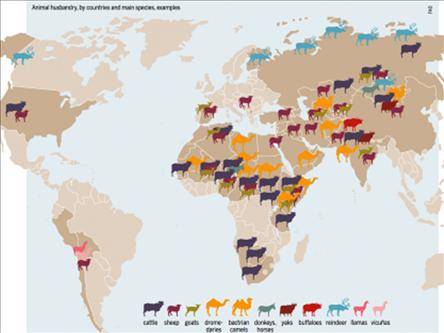 Konsumi i lartë i mishit shkatërron planetin