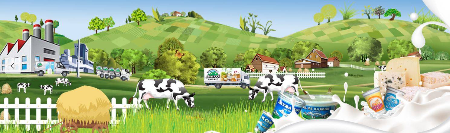 Lansohet fushata për promovimin e qumështit vendor 
