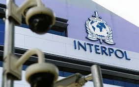 Qeveria shtyn votimin e kërkesës së Kosovës për anëtarësim në Interpol  