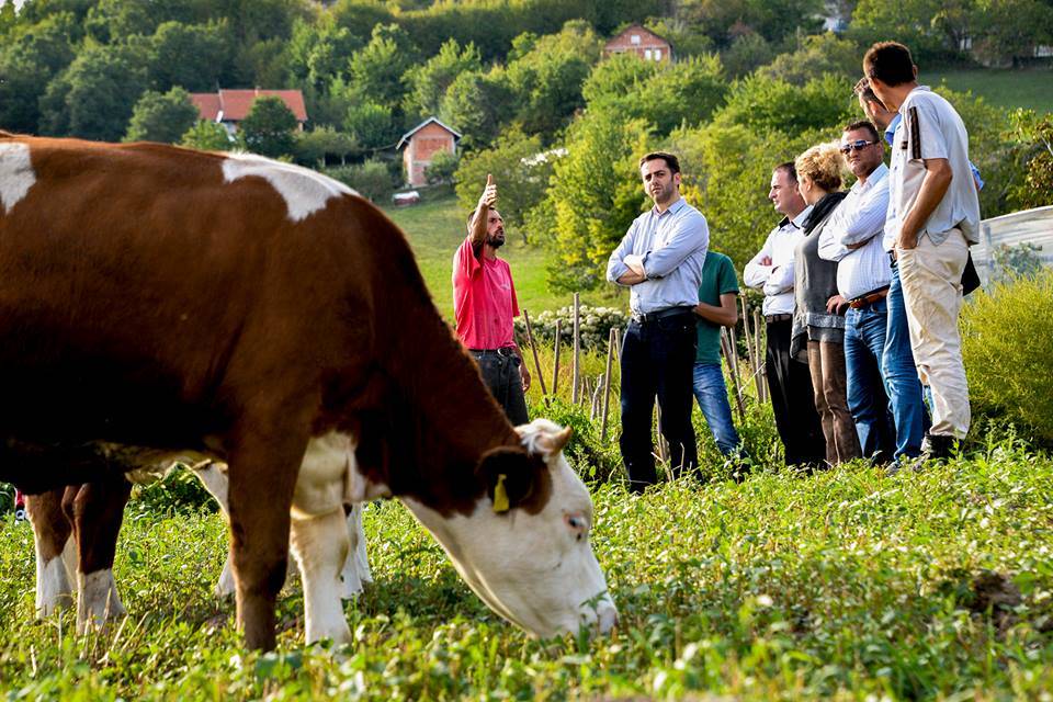 Blegtoria është veprimtari ekonomike jashtëzakonisht e rëndësishme