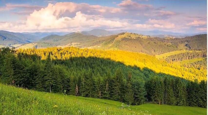 MBPZHR dhe FAO rishikojnë gjendjen e pyjeve në Kosovë