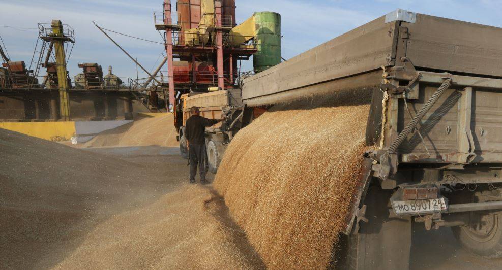 Rekordi i Rusisë në prodhimin e grurit ngre shqetësime për cilësinë 