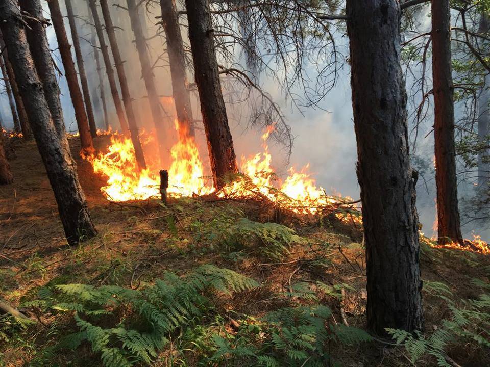 Gjilani apelon qytetarët që të mos ndezin zjarre fushore që shkaktojnë rrezik  