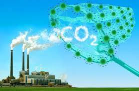 OKB: Bota munda ta thyejë sivjet rekordin e shkarkimit të CO2
