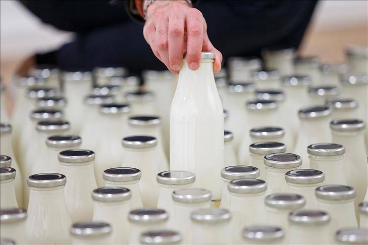 Sektori i qumështit në gjendje kritike