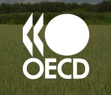 Turqia mori përsipër kryesinë OECD për vitin 2012