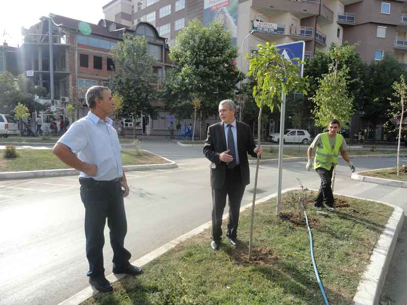 Mitrovica iu jep prioritet hapësirave të gjelbëruara 
