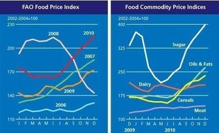 Stabilizohet indeksi i FAO-s për ushqimet 