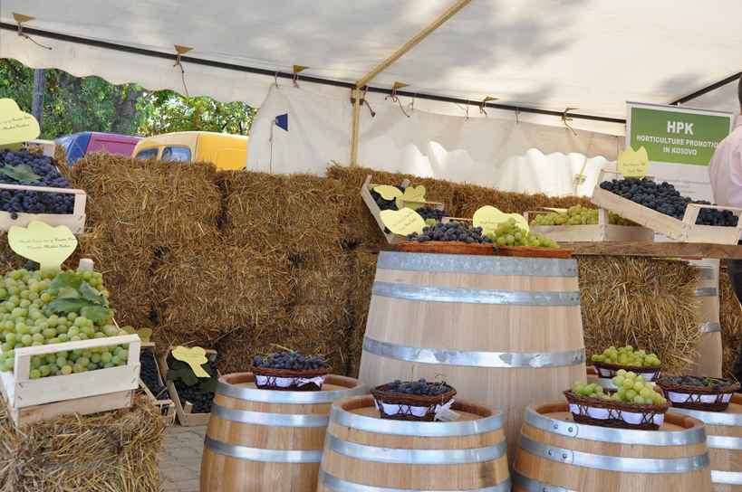 Hapet Festivali i Verës, Rrushit, Ushqimit dhe Kultures 