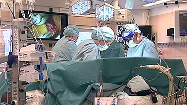 Mjekët suedezë realizojnë transplantin e mitrës 