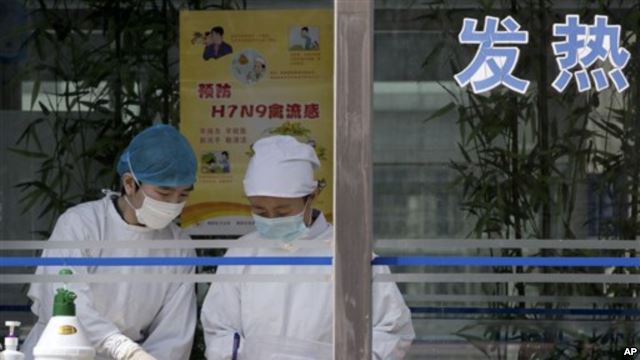 Raste të reja të gripit të shpenzëve në Kinë