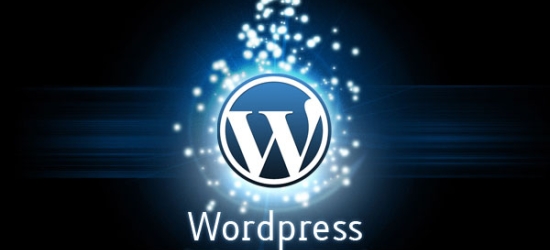 WordPress 3.1 shkarkohet mbi 15 milionë herë për 5 muaj