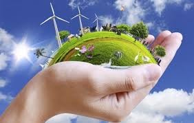 Shënohet Dita Botërore e Edukimit Mjedisor