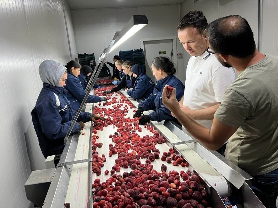 Sektori i frutave të imta po modernizohet me përkrahjen e MBPZhR-së