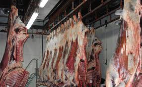Bie konsumi i mishit në Shtetet e Bashkuara të Amerikës