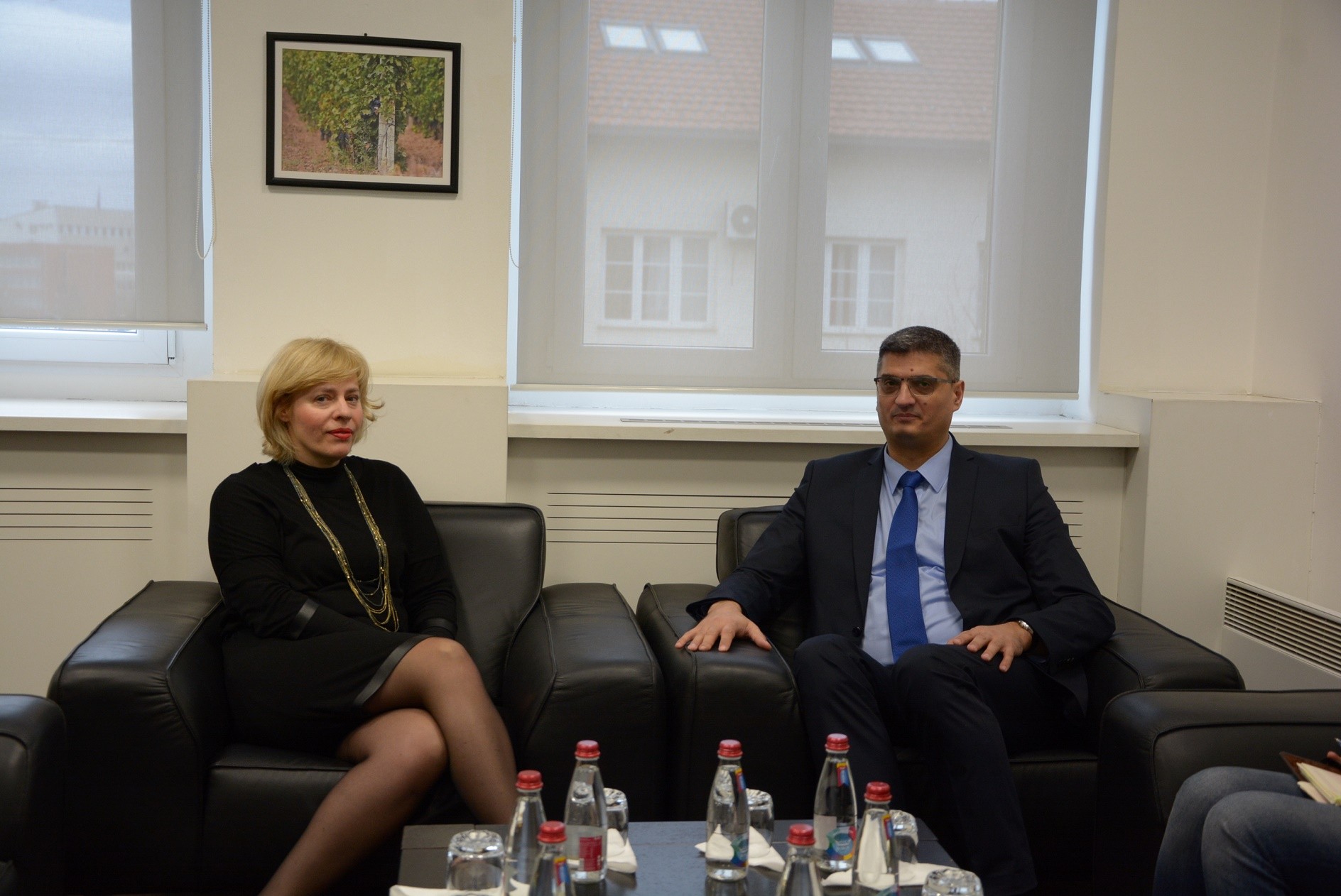 Ministri Rikalo u takua me ambasadoren e Kroacisë, Marija Kapitanovic