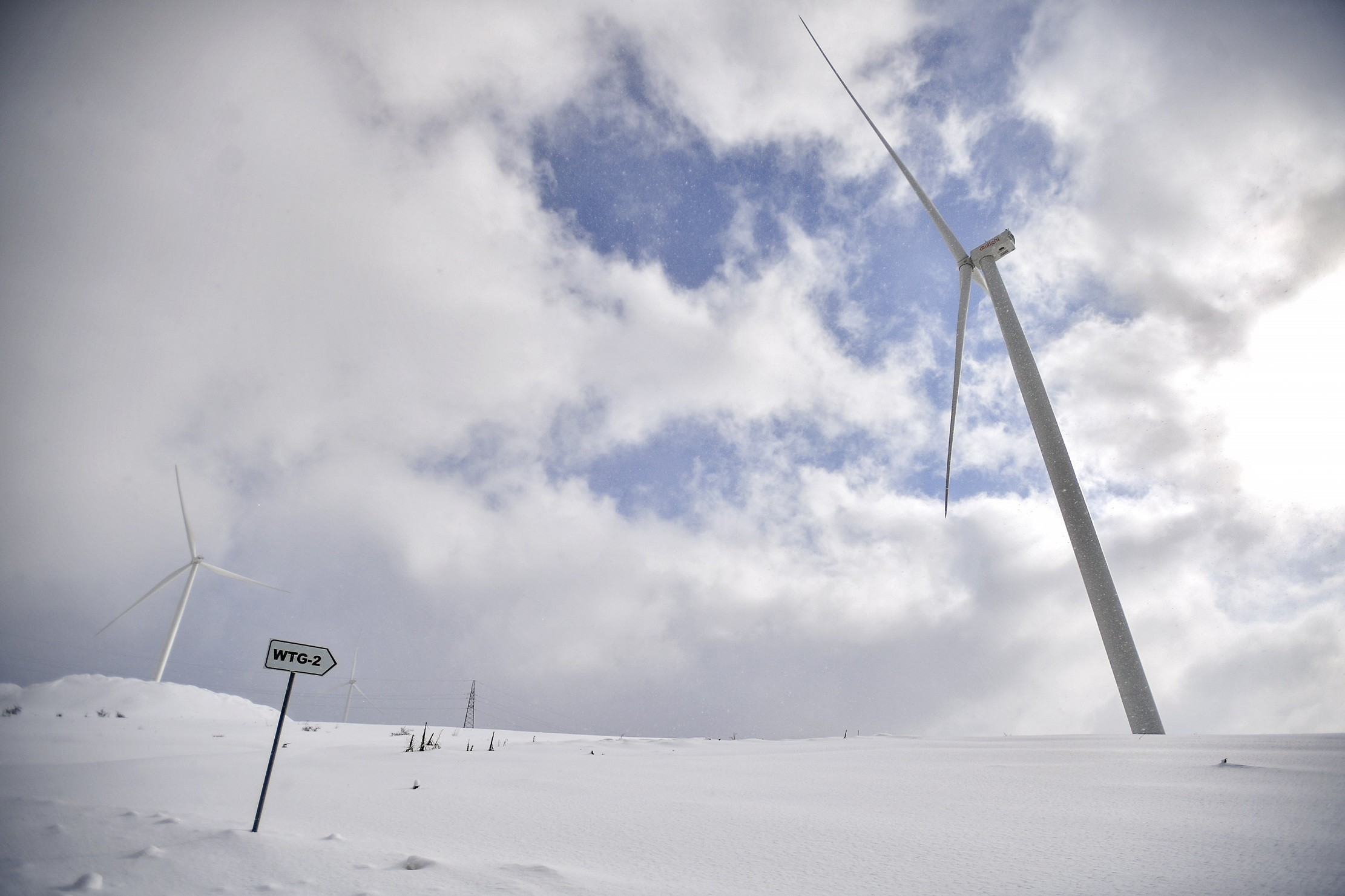 Ministrja e Jashtme Gjermane e hap parkun më të madh të erës në Bajgorë