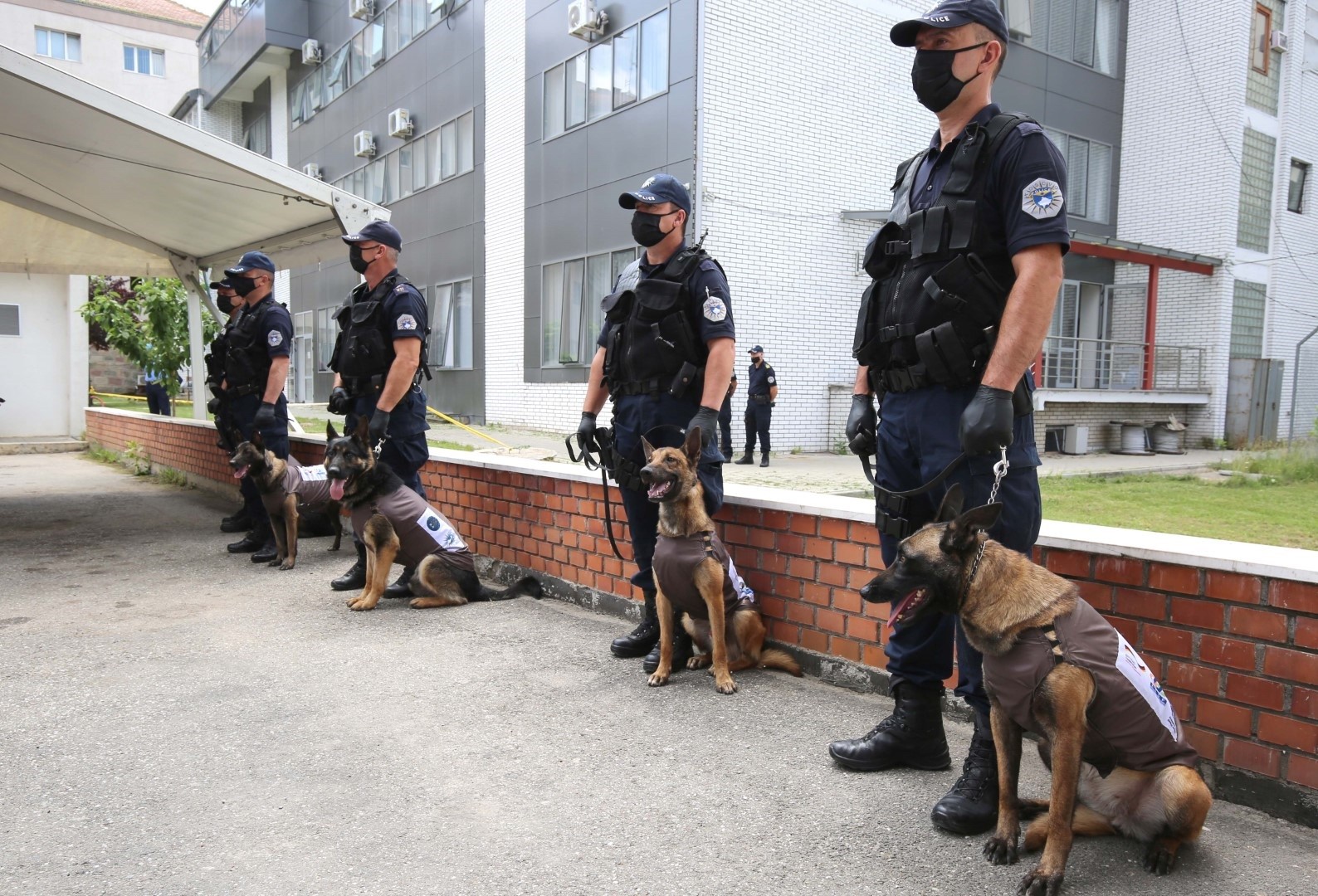 Policia e Kosovës pranon pesë qen për të zbuluar armë të teknologjisë së re