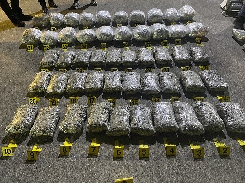Policia arreston një person dhe sekuestron 107 kg marihuanë