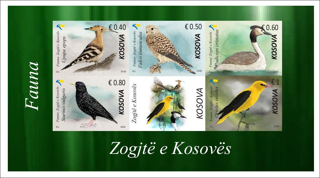 Pullat postare “Fauna - Zogjtë e Kosovës”