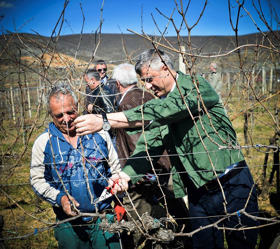 Thaçi: Kosova eksportojë rreth 30 milionë litra verë në mbi 24 shtete
