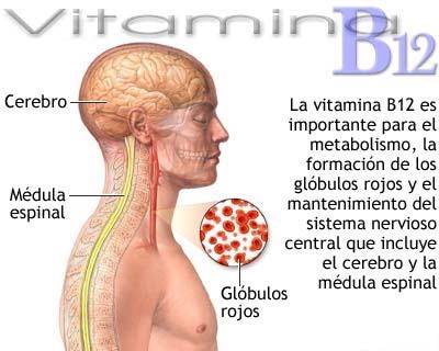 Mungesa e vitaminës B12 dëmton funksionin e trurit