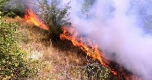 Policia apelon tek të gjithë qytetarët që të mos ndezin zjarre në natyrë