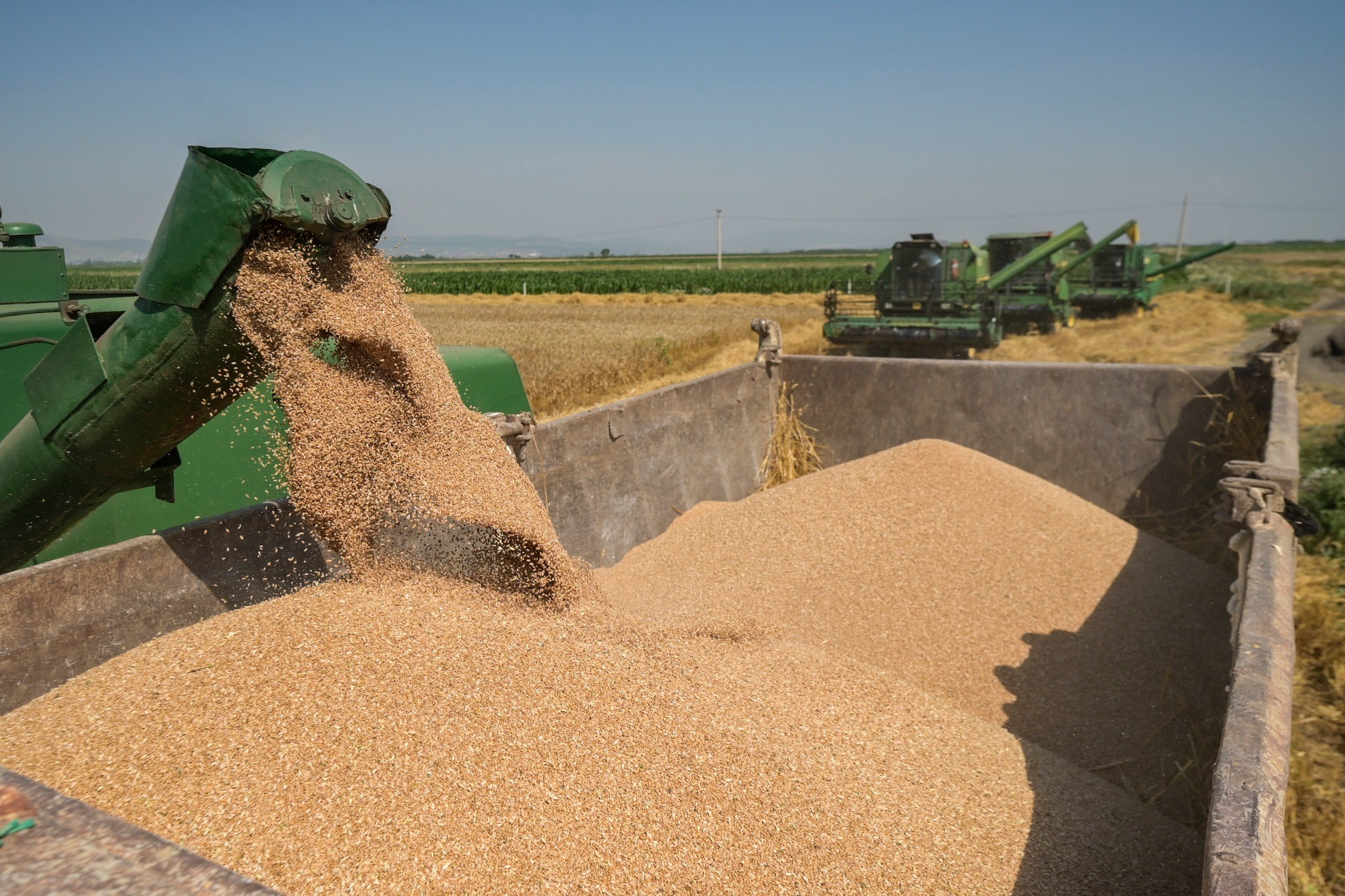 Rusia ndërpret marrëveshjen për drithërat nga Ukraina 